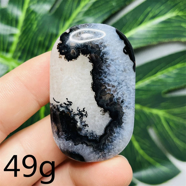 Black White Agate Palm Stone-ToShay.org