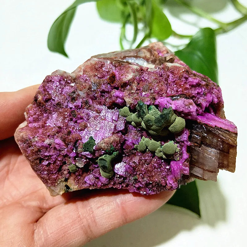 Pink Cobalt Calcite Crystal-ToShay.org