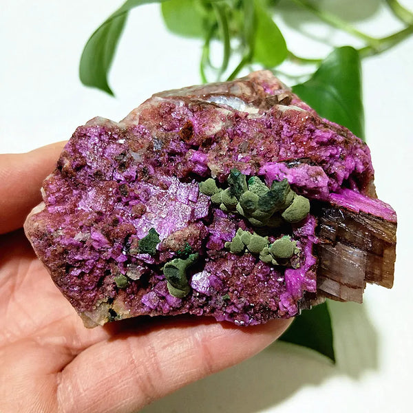 Pink Cobalt Calcite Crystal-ToShay.org