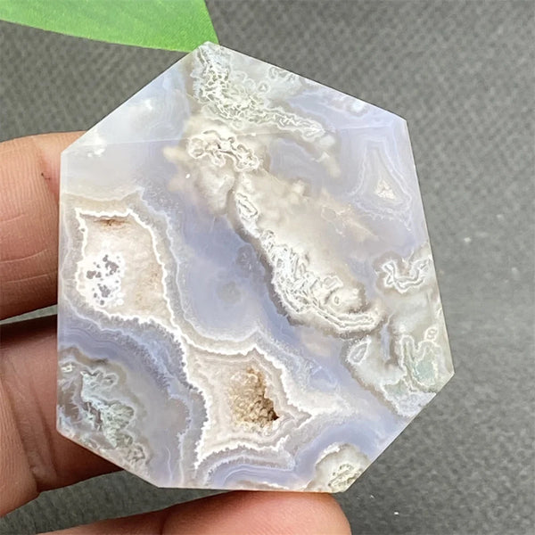 Green Water Plant Agate-ToShay.org