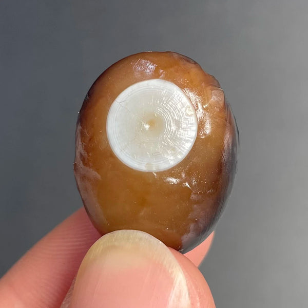 Mixed Gobi Agate Eye Rock-ToShay.org