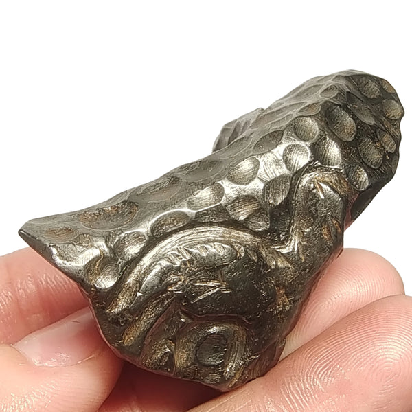 Iron Meteorite Pendant-ToShay.org