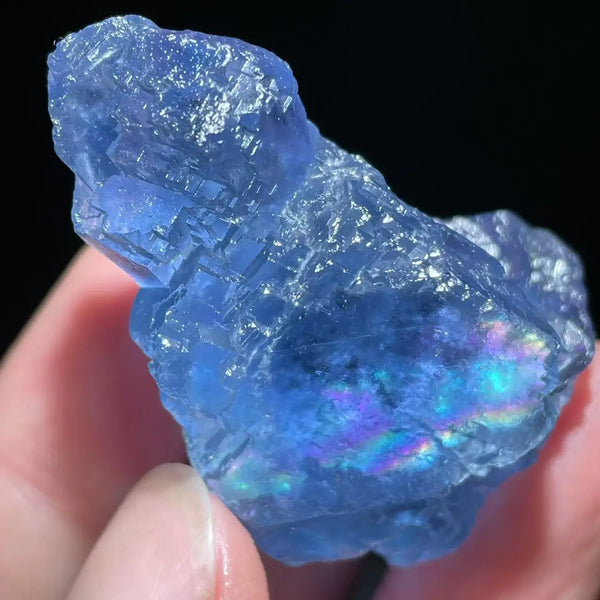 Blue Fluorite Pyrite Cluster-ToShay.org