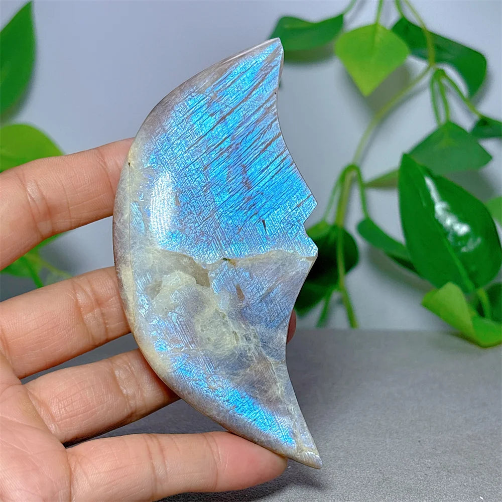 Blue Moonstone Moon-ToShay.org