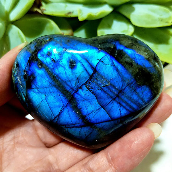 Blue Labrador Stone Heart-ToShay.org