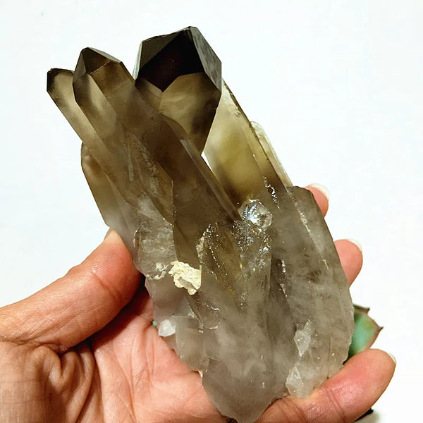 Smoky Quartz Crystal Cluster-ToShay.org