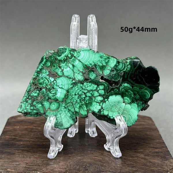 Green Malachite Raw Slice-ToShay.org