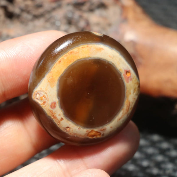 Tibetan Agate Eyes Dzi-ToShay.org