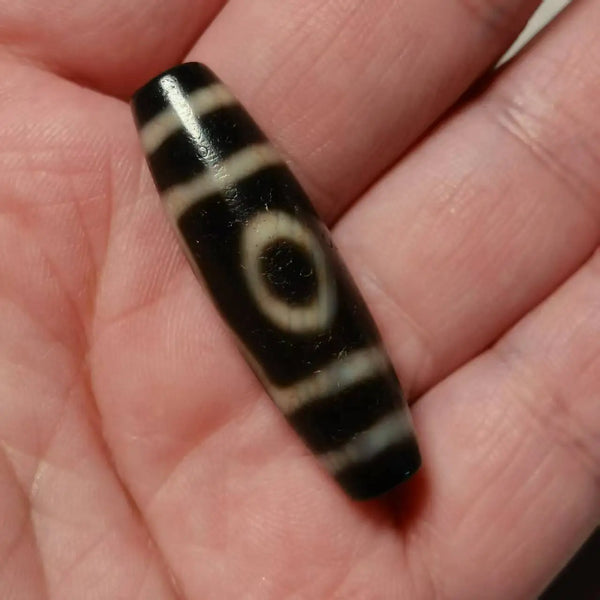 Tibetan Tiger Tooth Dzi Bead-ToShay.org
