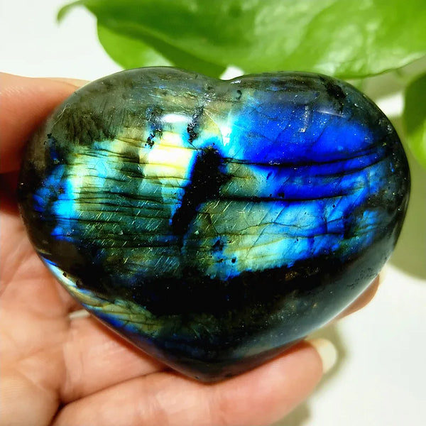 Blue Labrador Stone Heart-ToShay.org