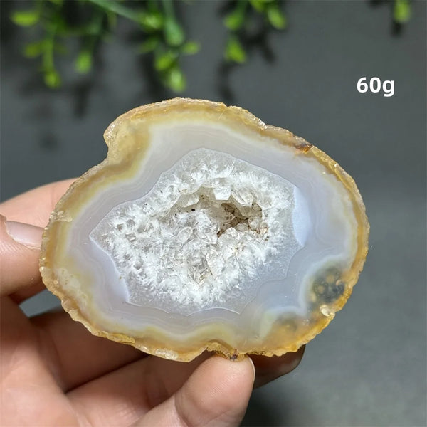 Yellow Agate Slice-ToShay.org