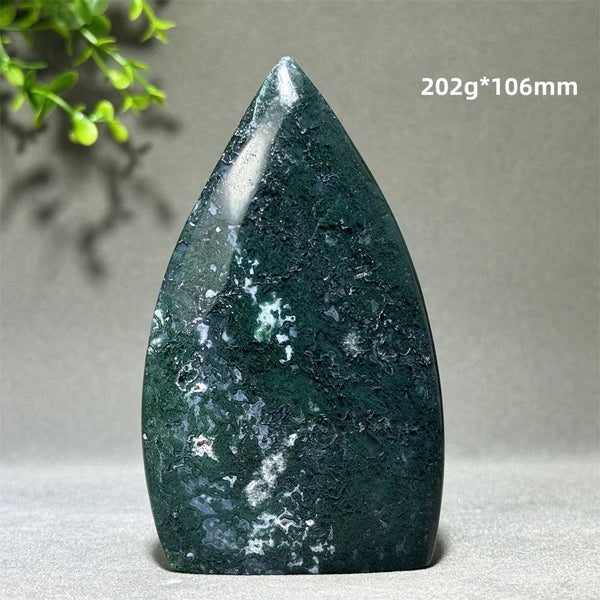 Green Aquatic Plant Agate-ToShay.org
