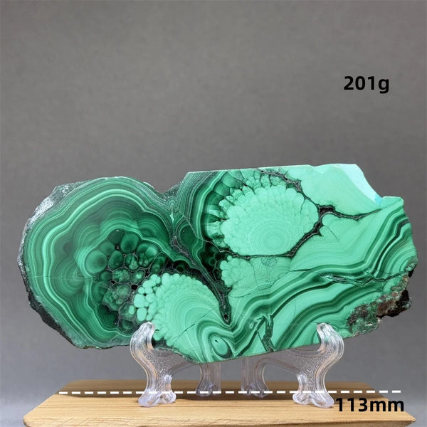 Green Malachite Slice-ToShay.org