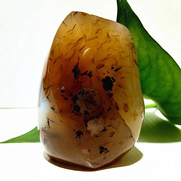 Yellow Moss Agate Flame-ToShay.org
