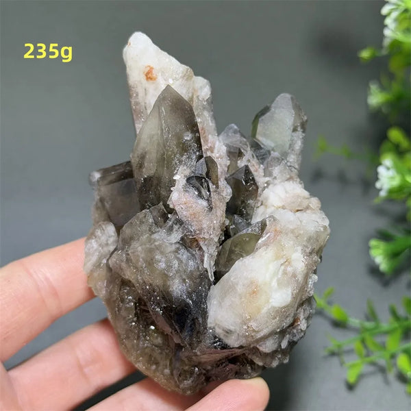 Black Quartz Crystal-ToShay.org