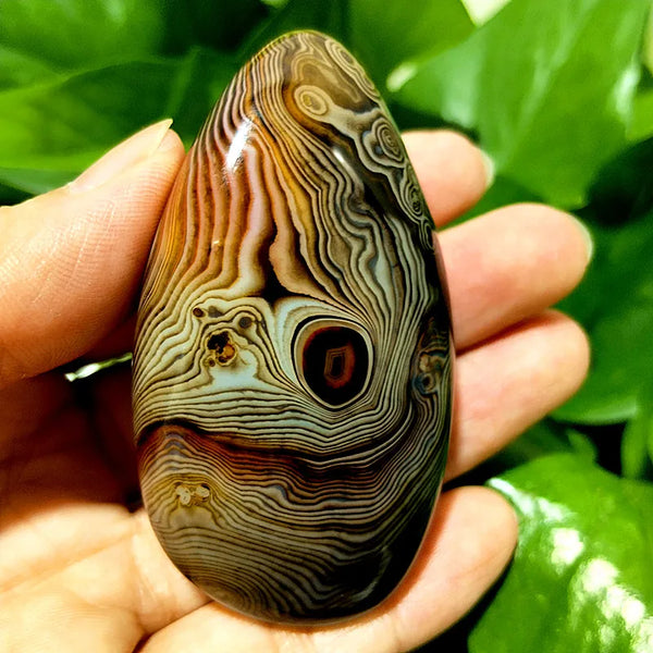 Red Lace Sardonyx Agate-ToShay.org