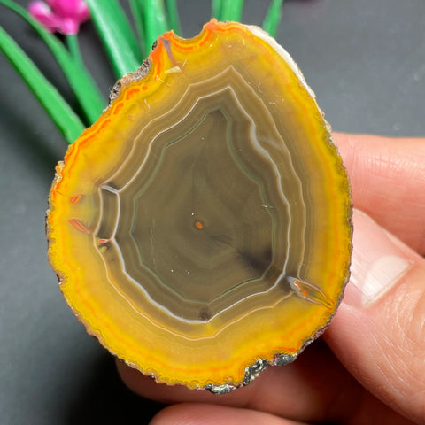 Yellow Sardonyx Rough Egg-ToShay.org