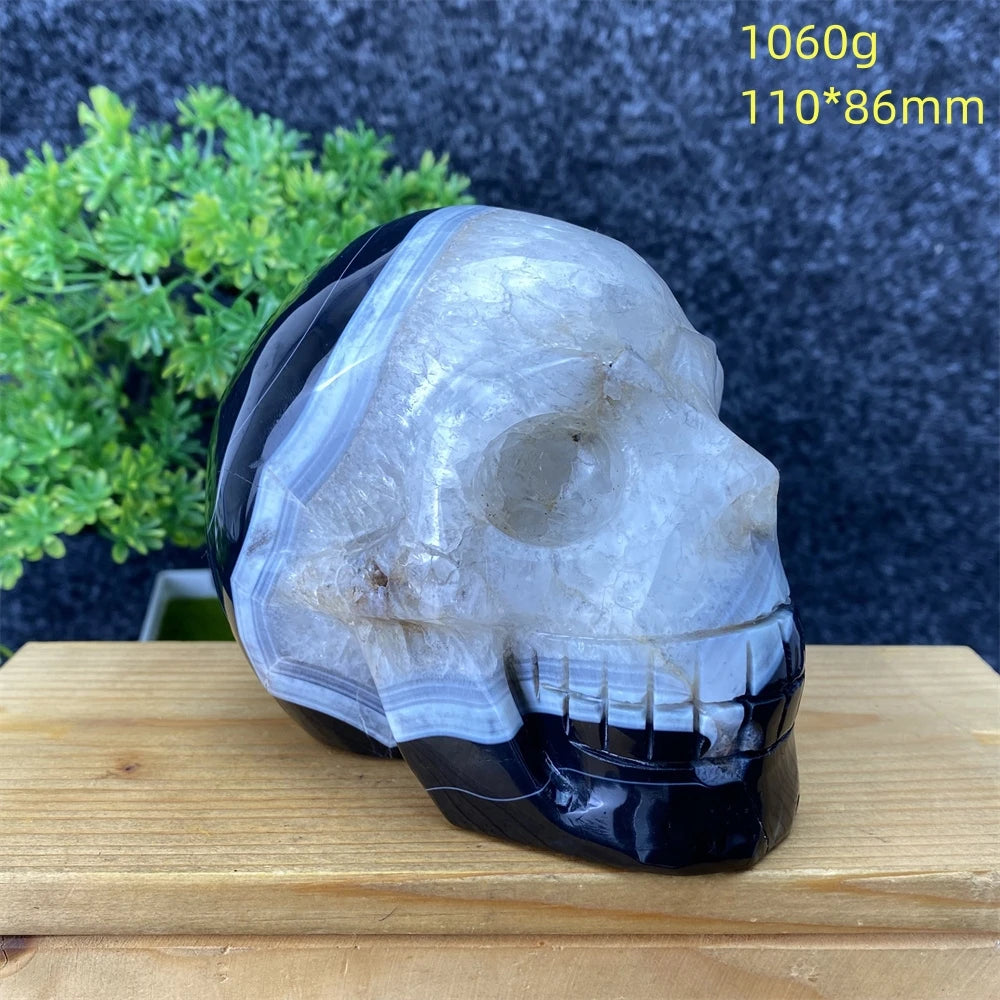 Black Agate Skull-ToShay.org