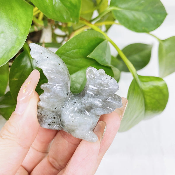 Mixed Crystal Squirrels-ToShay.org
