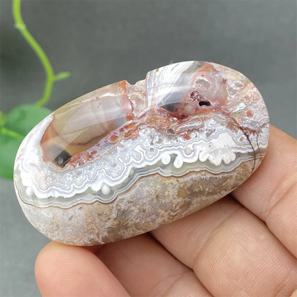 Red Lace Crazy Agate-ToShay.org