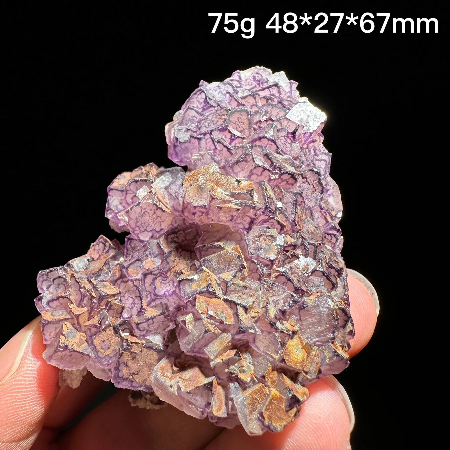 Purple Edge Fluorite-ToShay.org