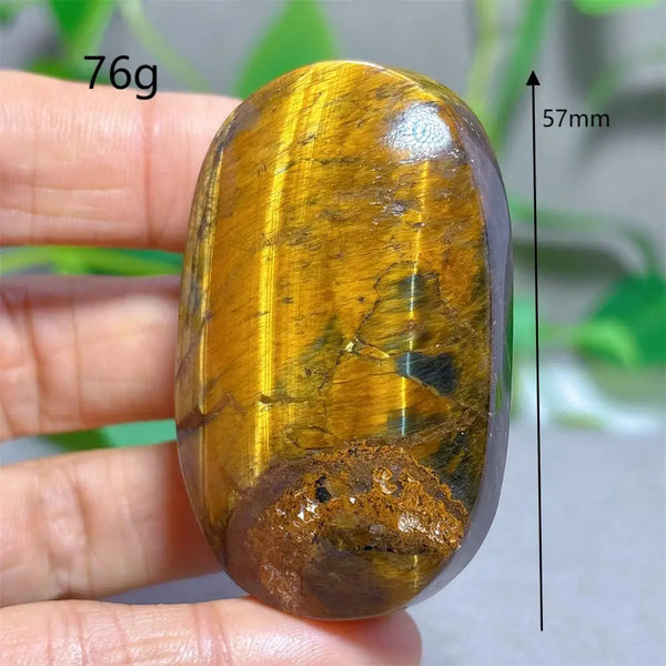 Blue Yellow Tiger Eye-ToShay.org