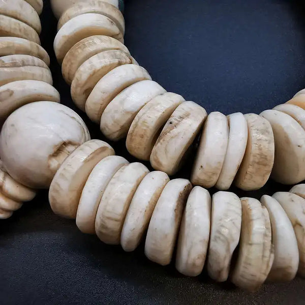 White Conch Shell Coin Beads-ToShay.org