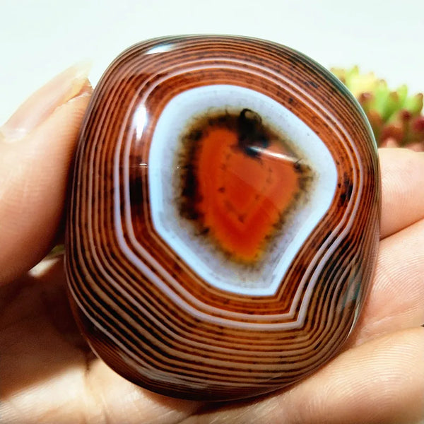 Red Lace Sardonyx Agate-ToShay.org