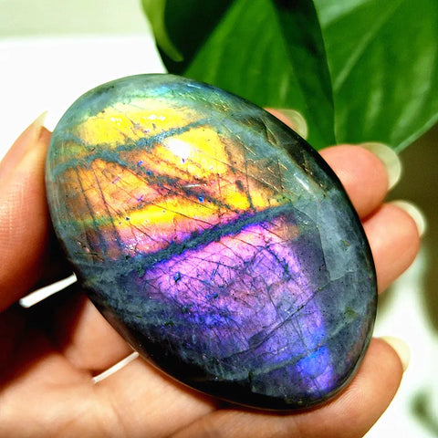 Violet Light Labradorite-ToShay.org
