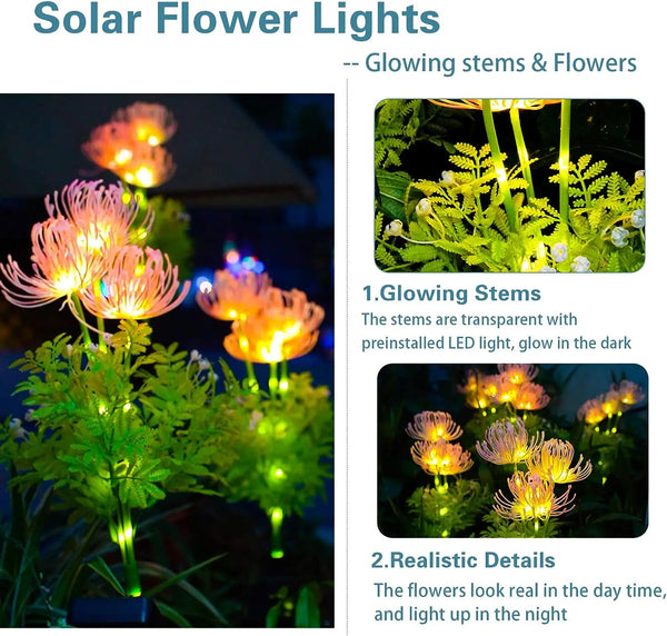 Flower Lights-ToShay.org