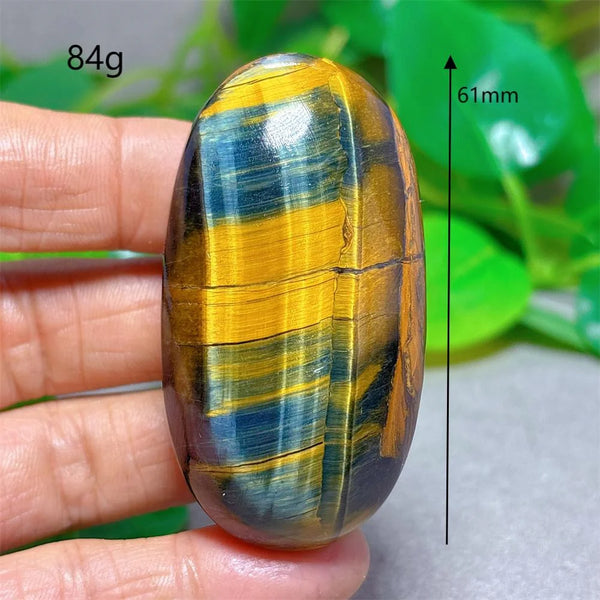 Blue Yellow Tiger Eye-ToShay.org