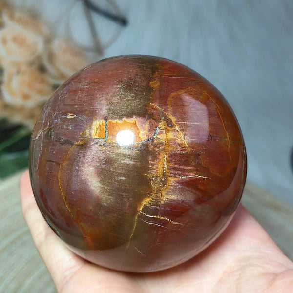 Brown Petrified Wood Ball-ToShay.org