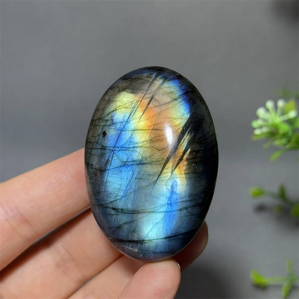 Blue Labrador Palm Stone-ToShay.org