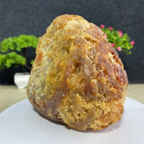 Yellow Honeycomb Agate-ToShay.org