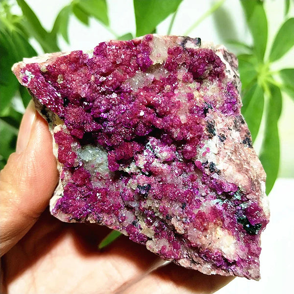 Pink Cobaltocalcite Raw Rock-ToShay.org