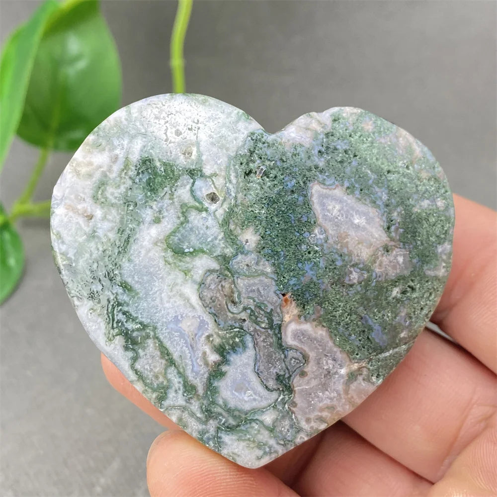 Green Aquatic Plant Agate-ToShay.org