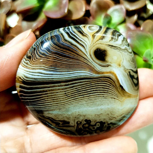 Red Flower Agate Palm Stone-ToShay.org