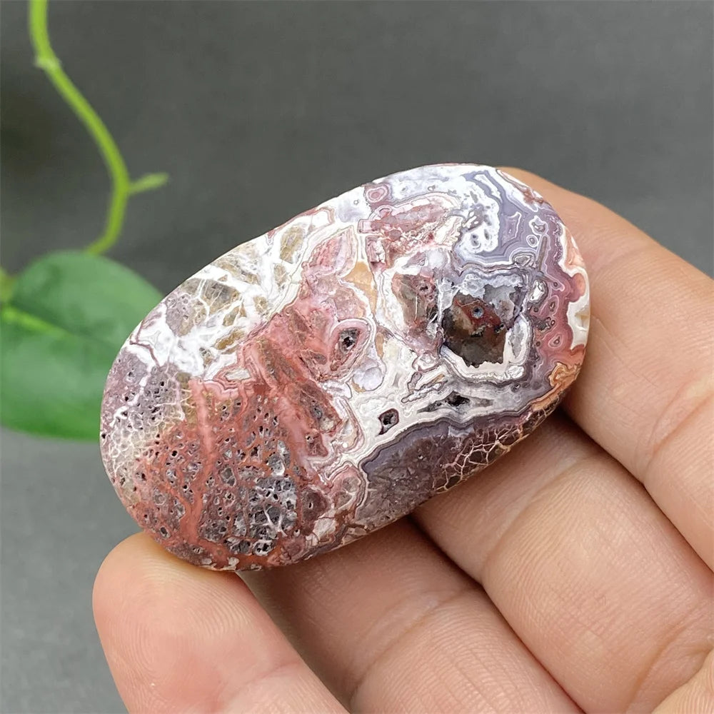 Red Lace Crazy Agate-ToShay.org