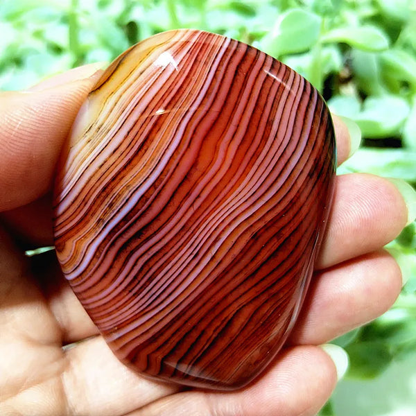 Red Sardonyx Lace Agate-ToShay.org