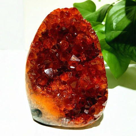 Orange Citrine Geode Cluster-ToShay.org