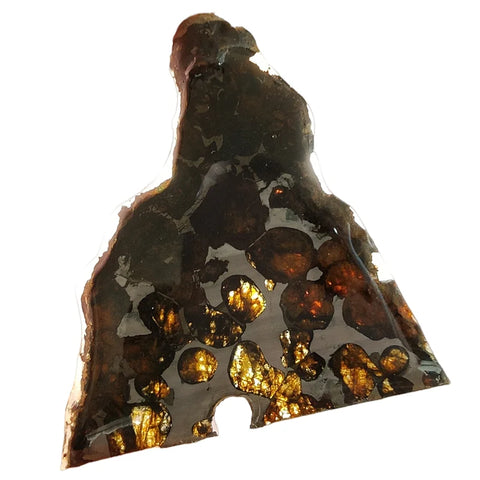 Olive Meteorite Slice-ToShay.org