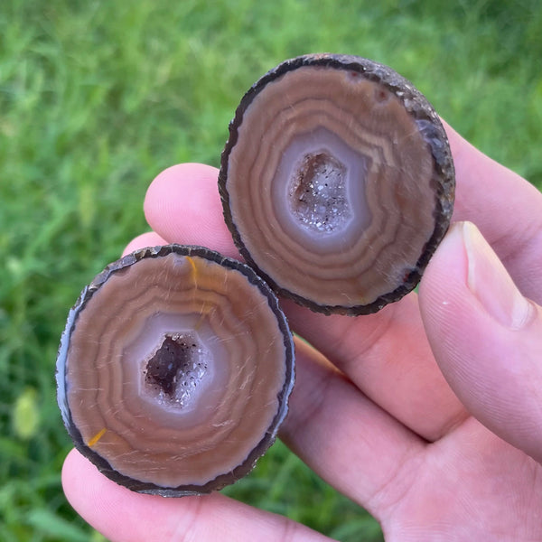 Mixed Agate Geode Egg-ToShay.org