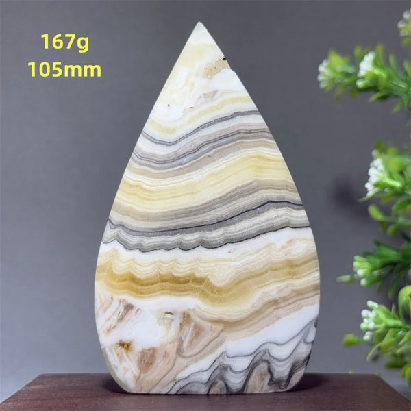 Black Yellow Striped Torch-ToShay.org