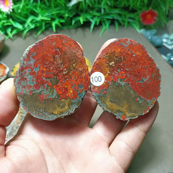 Mixed Agate Quartz Geodes-ToShay.org