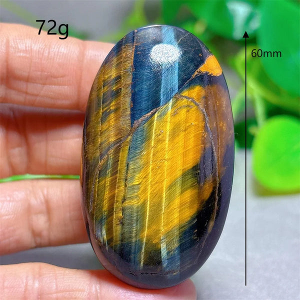 Blue Yellow Tiger Eye-ToShay.org