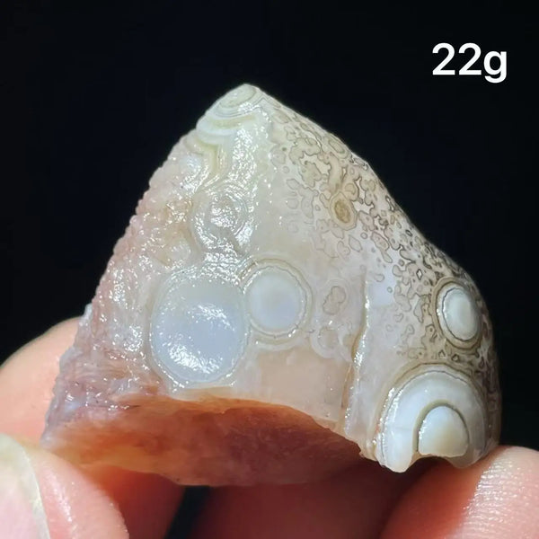 Mixed Gobi Eye Agate-ToShay.org