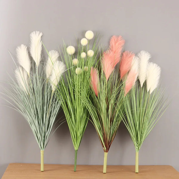 Reed Grass Plants-ToShay.org