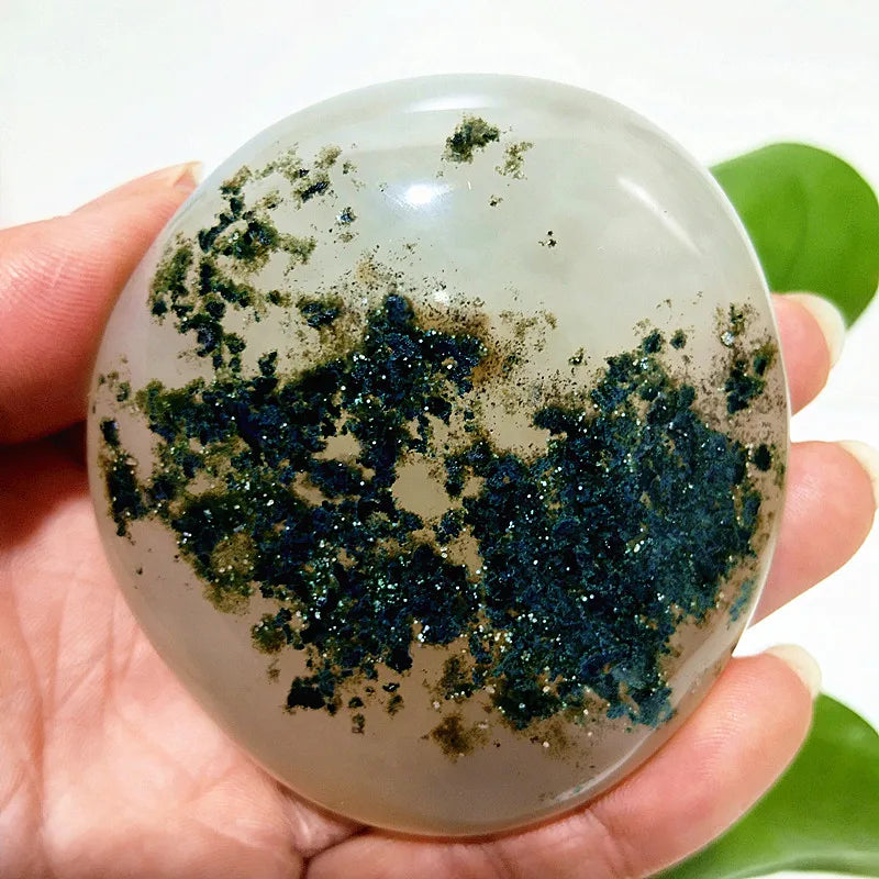Yellow Blue Water Plant Agate-ToShay.org