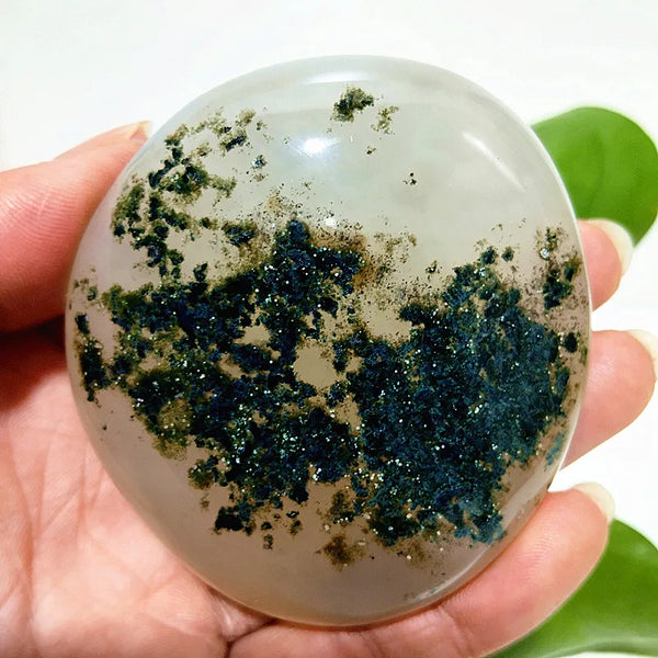 Yellow Blue Water Plant Agate-ToShay.org