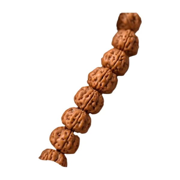 Brown Dragon Lotus Seed Beads-ToShay.org